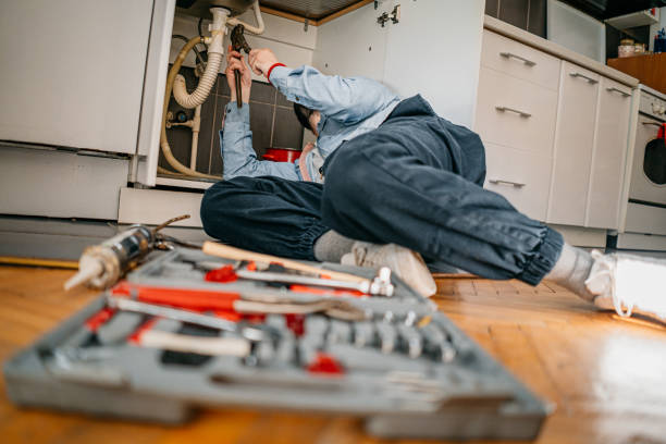 Best Local Plumber Services  in Riverview, DE