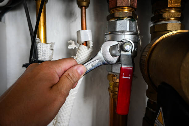 Best Clogged Drain Plumber  in Riverview, DE